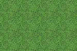 Ковролин Flotex Vision Image 000430 Shamrock фото  | FLOORDEALER